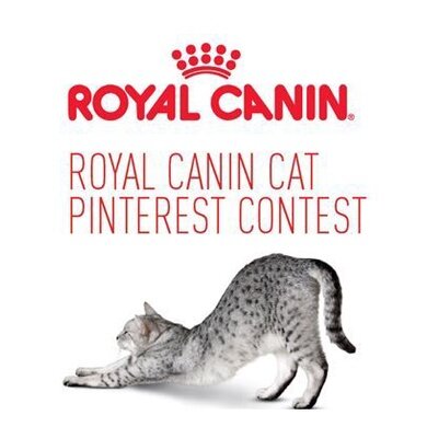 Royal Canin อาหารเม็ด 1.5 - 2 kg