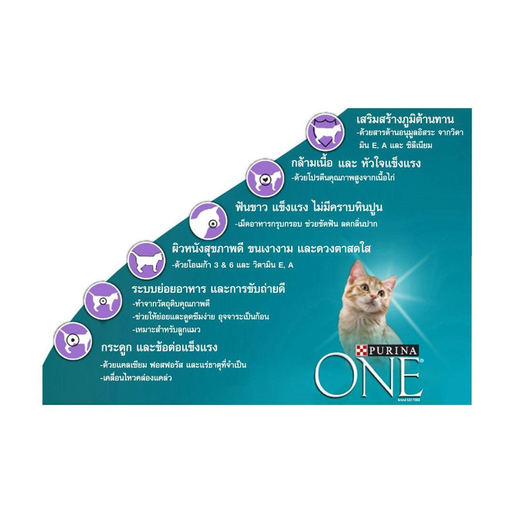 Purina อาหารแมวเม็ด 380 - 400 g