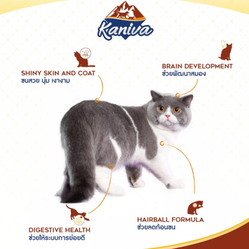 Kaniva อาหารเเมวเม็ด ขนาด 2.8-3.2 kg