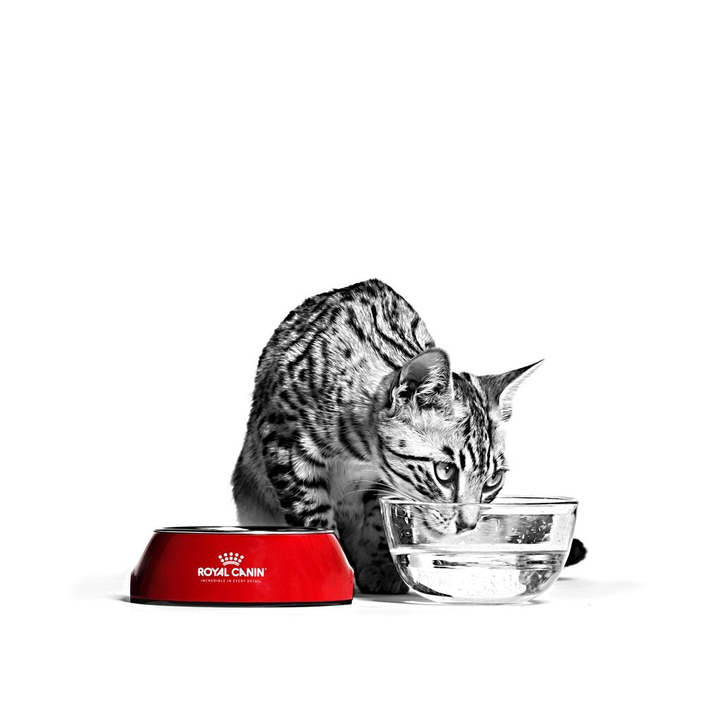 Royal Canin อาหารเม็ด 1.5 - 2 kg