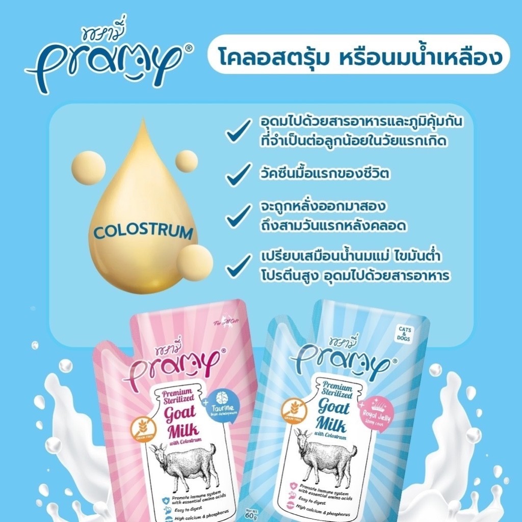 Pramy Goat milk พรามี่ นมแพะสเตอริไลส์สำหรับสุนัขและแมว แบบโหล 60g x 12 ซอง