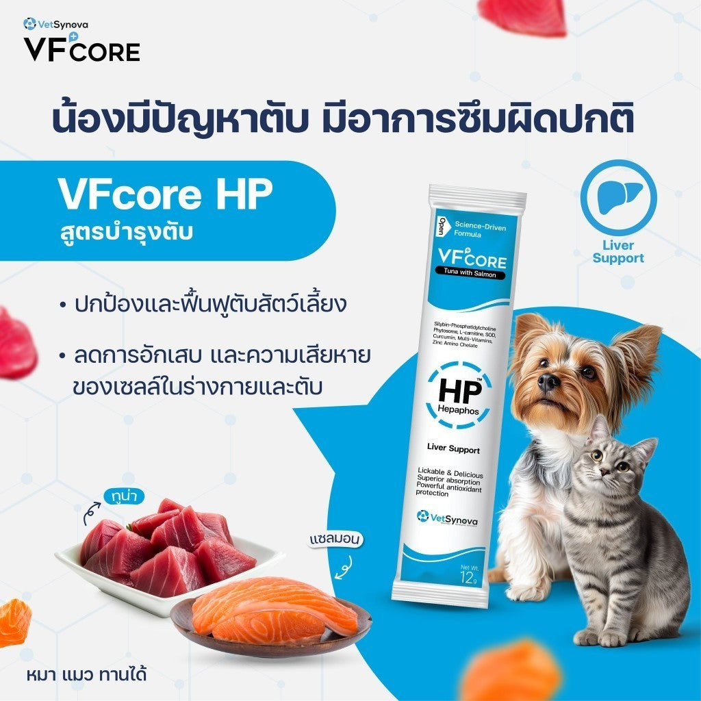 VFcore วีเอฟ คอร์ ขนมแมวเลียเสริมสร้างและบำรุงสุนัขและแมว ขนาด 12g x 30 ซอง