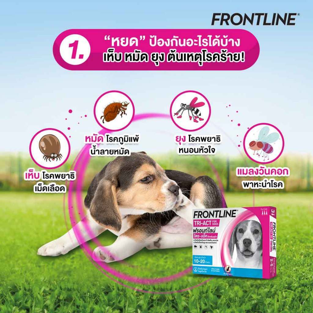 Frontline TRI-ACT ยาหยอดกำจัดเห็บหมัด ป้องกันยุง สำหรับสุนัข หลายขนาด