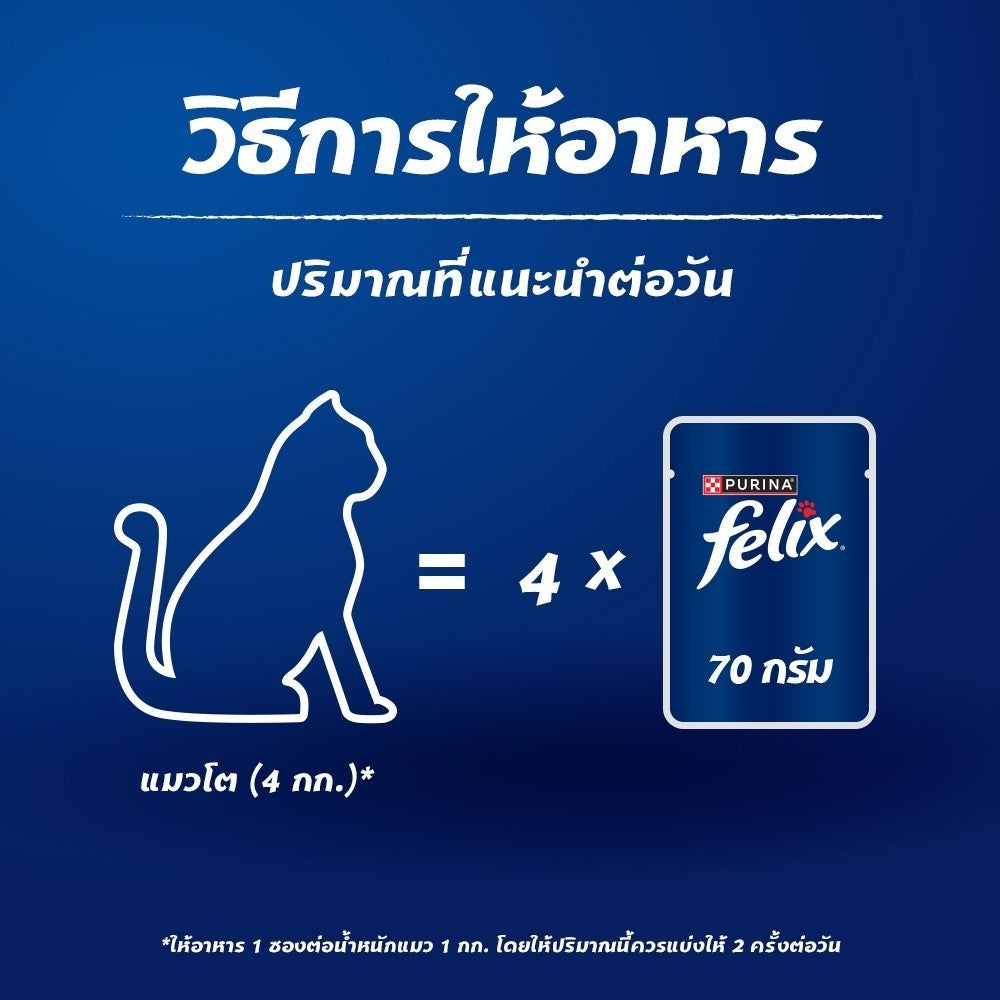 Felix อาหารแมวเปียก ในเอ๊กซ์ตร้าเกรวี 70g x12 ซอง สูตร Complete & Balance