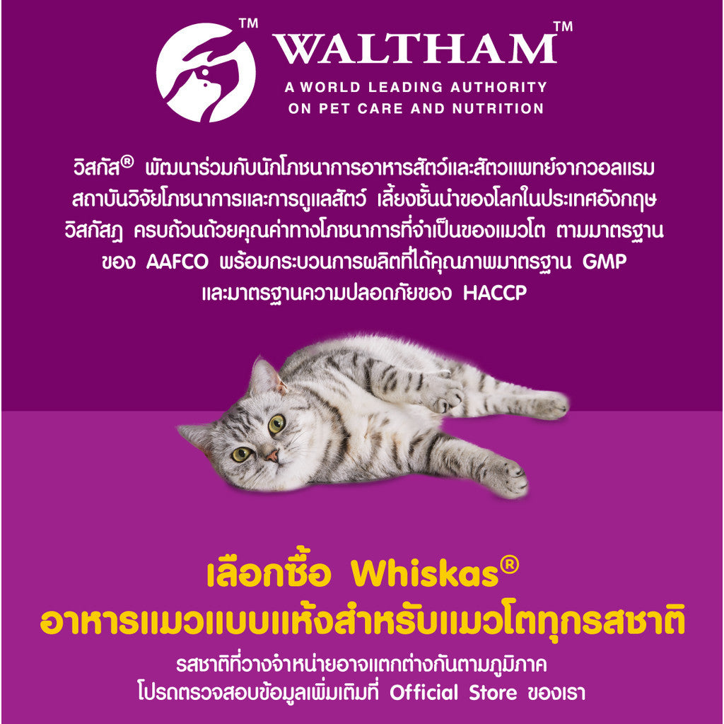 Whiskas Pockets วิสกัส พ็อกเก็ตส์ อาหารสำหรับแมว ขนาด 6.5 กก. / 7 กก.