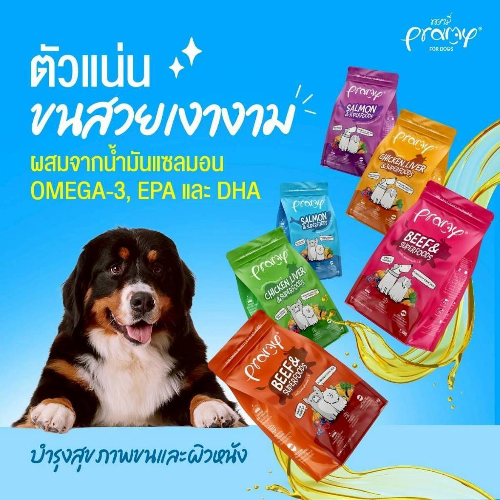 Pramy พรามี่ อาหารเม็ดสุนัข เกรดพรีเมียม โปรตีนสูง เสริมสร้างสุขภาพแบบรอบด้าน ขนาด 1 - 1.3kg