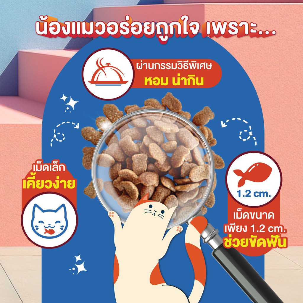 Master Choice อาหารเม็ดแมว 1kg (แบ่งขาย)