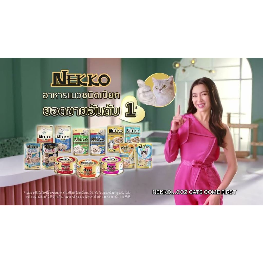 Nekko Jelly เน็กโกะสูตรเยลลี่ อาหารแมวเปียกเเบบกล่อง 70gx12 ซอง