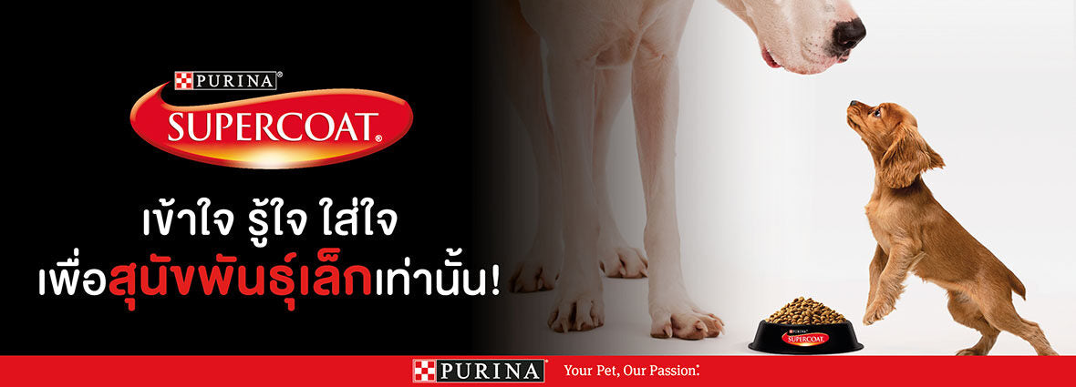 Supercoat อาหารสุนัข ขนาด 1.2-1.5 Kg